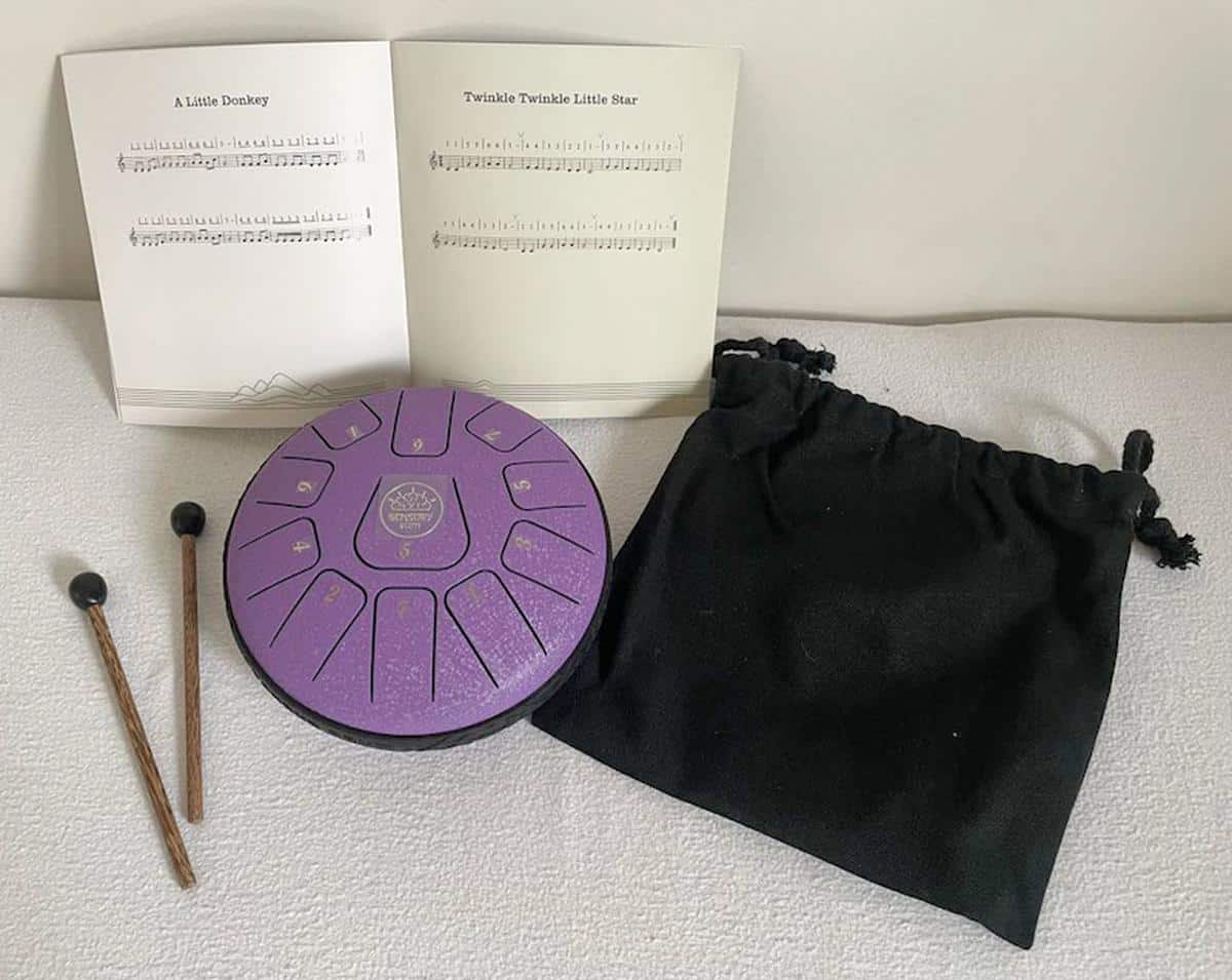 Steel Zen 11 Key Drum