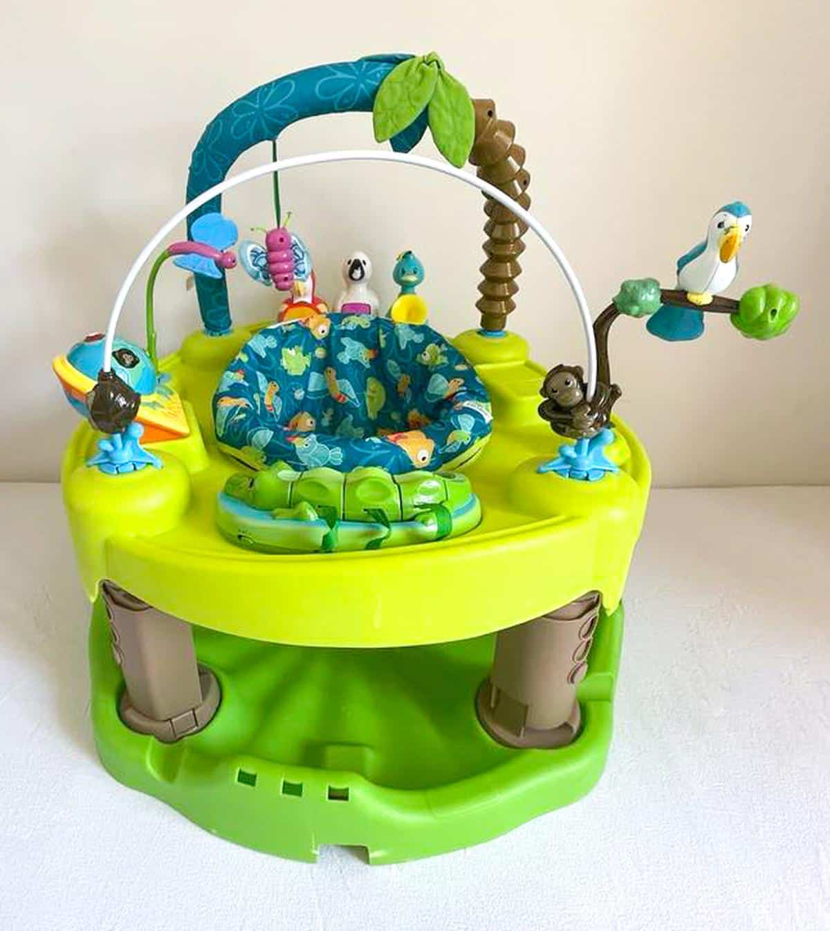 Life in the Amazon Exersaucer photo