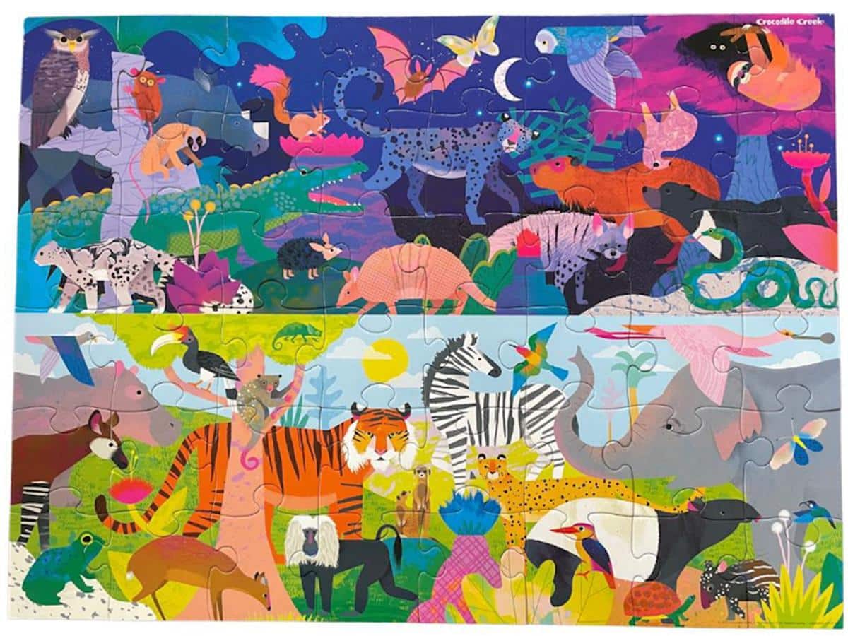 Above & Below - Night & Day Puzzle